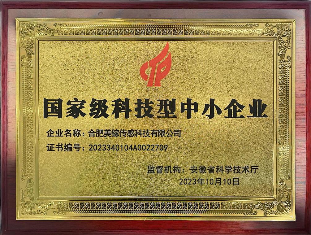 国家级科技型中小企业